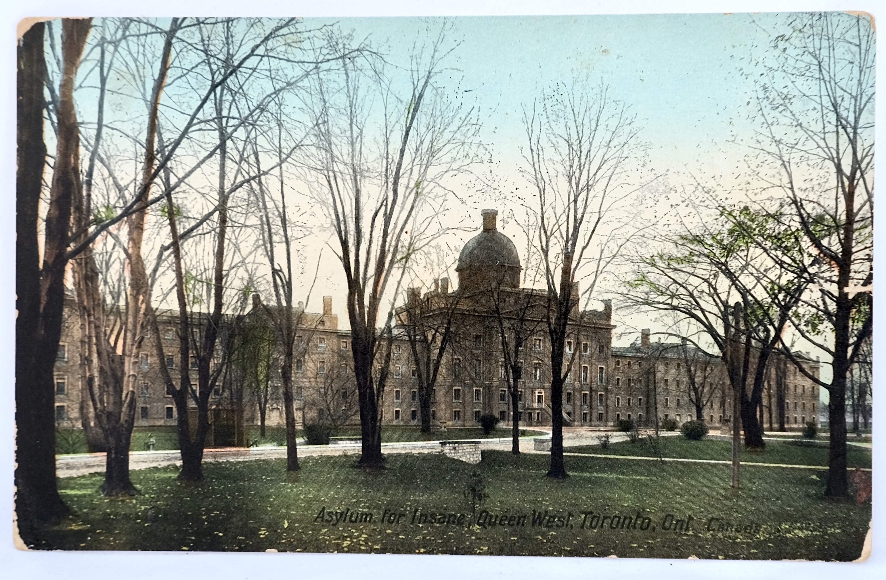 Asylum for Insane, Toronto